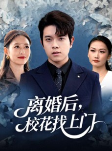 短剧《离婚后，校花找上门》80集短剧免费在线看完整版