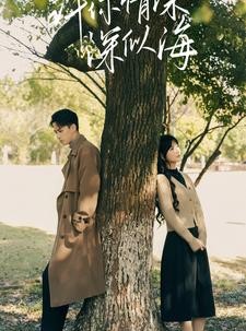 短剧《许你情深深似海》86集短剧全集在线观看无删减