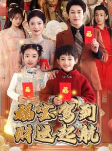 短剧《福宝驾到财运起航》50集短剧蓝光画质无广告观看