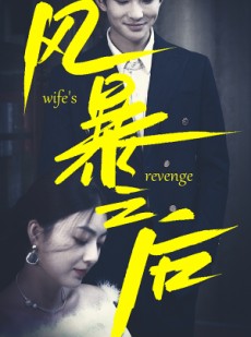 短剧《风暴之后》80集短剧高清全集手机平板适配观看