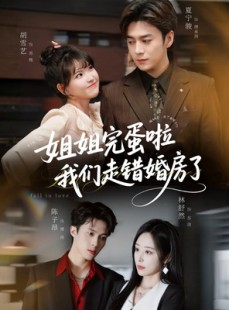 短剧《姐姐完蛋啦我们走错婚房了》97集短剧超清免费看至大结局