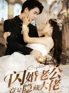 短剧《闪婚老公竟是隐藏大佬》99集短剧全集剧情无删减观看