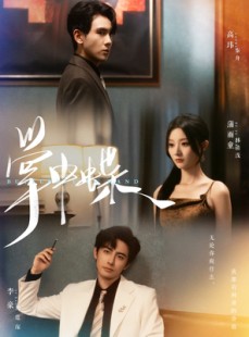 短剧《掌中蝶》84集短剧每日更新在线追更观看