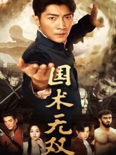 短剧《国术无双》74集短剧手机高清在线随时随地看