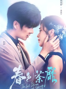 短剧《春色荼靡》78集短剧免费在线观看完整剧情