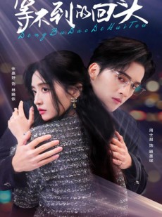 短剧《等不到的回头》35集短剧蓝光画质独家免费放送