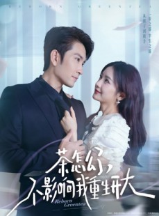 短剧《茶怎么了不影响我重生开大》80集短剧手机在线观看完整版