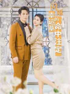 短剧《闪婚幸运草的命中注定》82集短剧1080P高清版在线观看