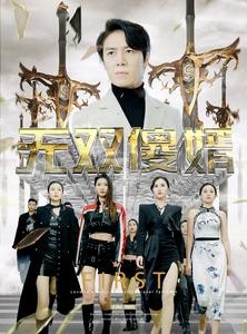 短剧《无双傻婿》78集短剧全集高清版免费观看