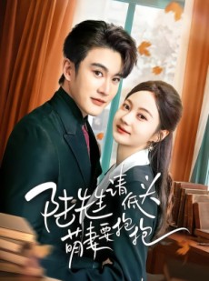 短剧《陆先生请低头萌妻要抱抱》51集短剧1080P在线免费赏