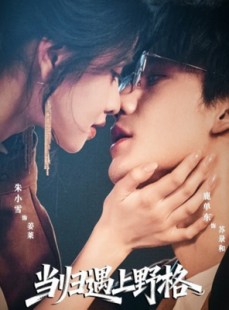 短剧《当归遇上野格》66集短剧无删减免费观看