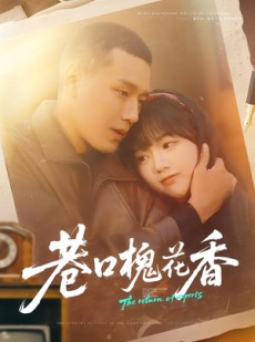 短剧《巷口槐花香》65集短剧在线观看全集无广告