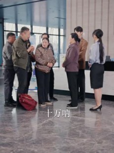 短剧《山鸡不是凤凰》52集短剧高清流畅在线免费看
