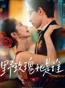 短剧《野玫瑰她是谁》84集短剧免费在线观看全集