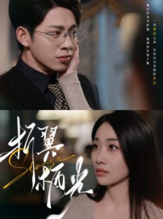 短剧《折翼栖光》43集短剧高清版手机随时看