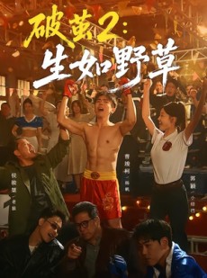 短剧《破茧2：生如野草》55集短剧1080P在线免费看