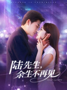 短剧《陆先生，余生不再见》88集短剧超清无删减在线观看