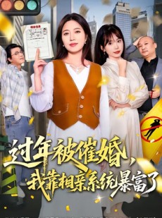 短剧《过年被催婚，我靠相亲系统暴富了》82集短剧全集免费在线观看