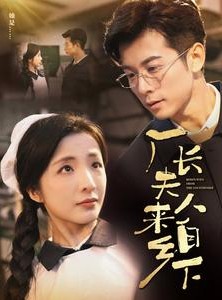 短剧《厂长夫人来自乡下》60集短剧全集网盘资源免费分享看