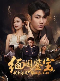 短剧《缅国鉴宝，我老婆是帮派大小姐》78集短剧超清流畅在线免费观