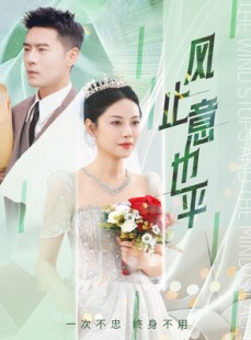 短剧《风止意也平》41集短剧全集资源一键解锁观看