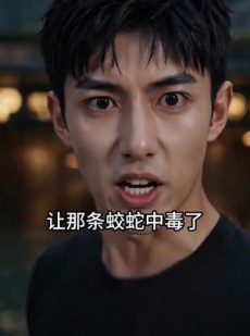 短剧《一本老黄历，带我小区闯末世》70集短剧在线解锁全集畅快看