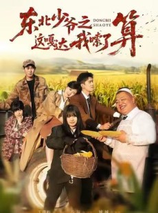 短剧《东北少爷之这嘎达我嗦了算》46集短剧完整版免费在线观看