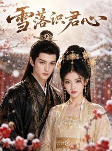 短剧《雪落识君心》50集短剧超清画质免费看全集