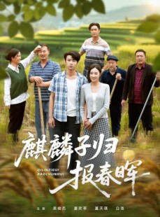 短剧《麒麟子归报春晖》36集短剧全集资源免费在线赏