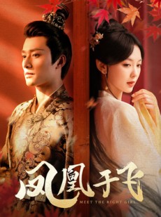 短剧《凤凰于飞》79集短剧全集无删减版在线欣赏