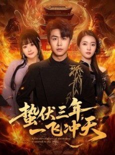 短剧《蛰伏三年，一飞冲天》60集短剧全集免费在线畅快看