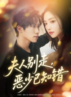 短剧《夫人别走恶少已知错》60集短剧超清免费在线看剧