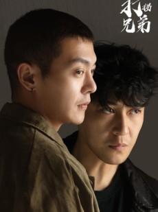 短剧《打拐兄弟》30集短剧高清全集在线观看不卡顿