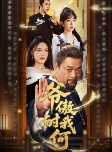 短剧《爷傲奈我何》70集短剧全集高清在线一次看过瘾