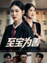短剧《至宝为善》60集短剧在线免费看完整版