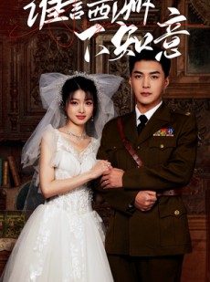 短剧《谁言西洲不知意》94集短剧高清流畅在线免费看