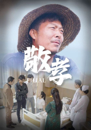 敬孝（61集）短剧大结局连更全集