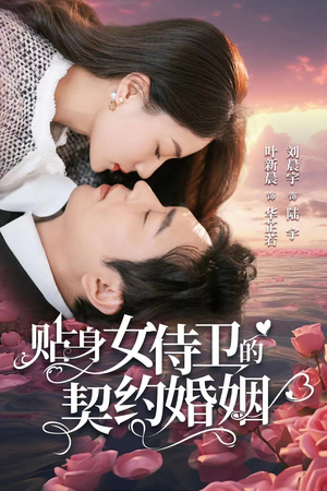 贴身女侍卫的契约婚姻(91集) 贴身女侍卫的契约婚姻(91集)短剧结局合集限免刷