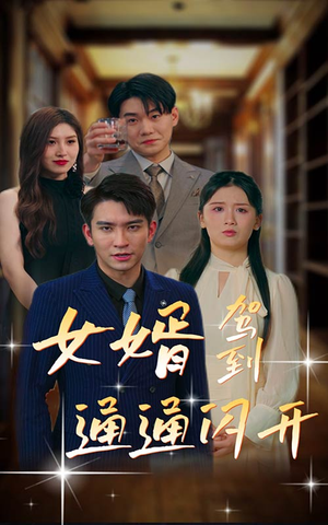 女婿驾到,通通闪开(34集) 女婿驾到,通通闪开(34集)短剧全集解锁零收费