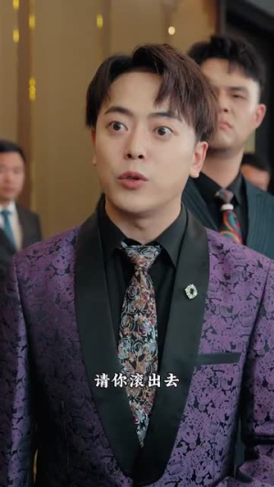 龙虎之喋血追凶（80集）短剧完结全集限免刷