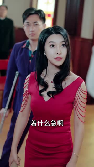天龙（91集）短剧合集杜比音效版