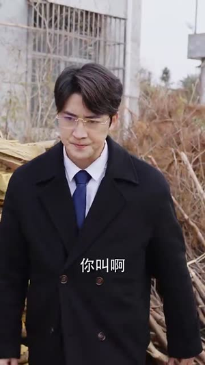 贤妻归来惊艳全场(55集) 贤妻归来惊艳全场(55集)短剧终极大结局合集