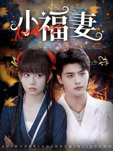 小福妻(62集) 小福妻(62集)短剧收官全集限免看