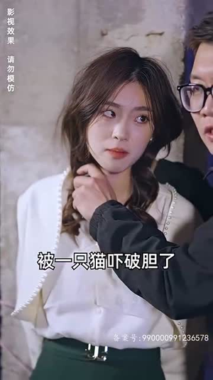 进击的女老板（101集）短剧全集高清完整版