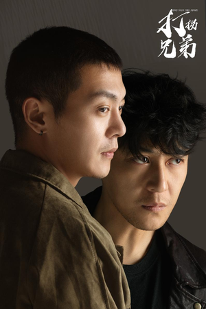 打拐兄弟(30集) 打拐兄弟(30集)短剧收官全集限免看