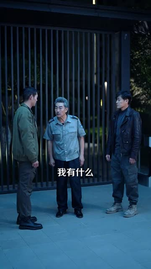 打拐兄弟(30集) 打拐兄弟(30集)短剧收官全集限免看