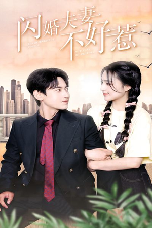 闪婚夫妻不好惹(90集) 闪婚夫妻不好惹(90集)短剧全集幕后花絮版