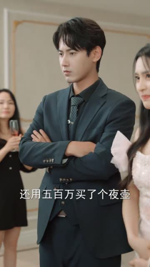 闪婚夫妻不好惹(90集) 闪婚夫妻不好惹(90集)短剧高分全集在线刷