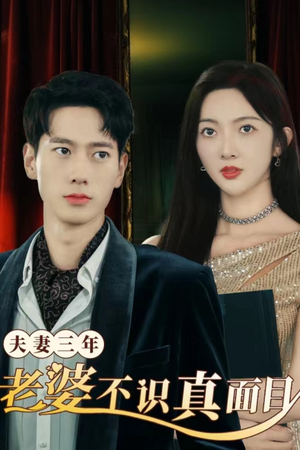 夫妻三年老婆不识真面目(83集) 夫妻三年老婆不识真面目(83集)短剧合集4K修复版