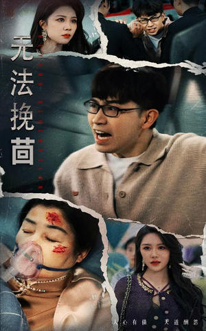 无法挽回(56集) 无法挽回(56集)短剧全集高清完整版